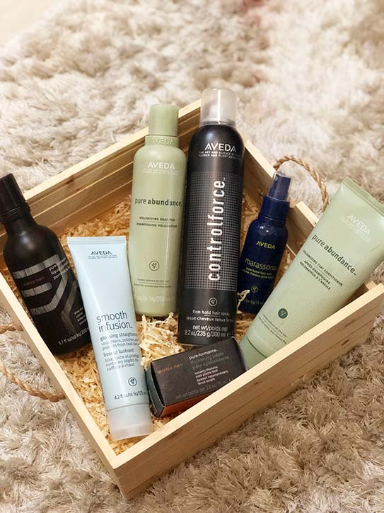 MEGA-BODY-SHOP-Holiday-8 - MEGA Aveda hair MEGA
