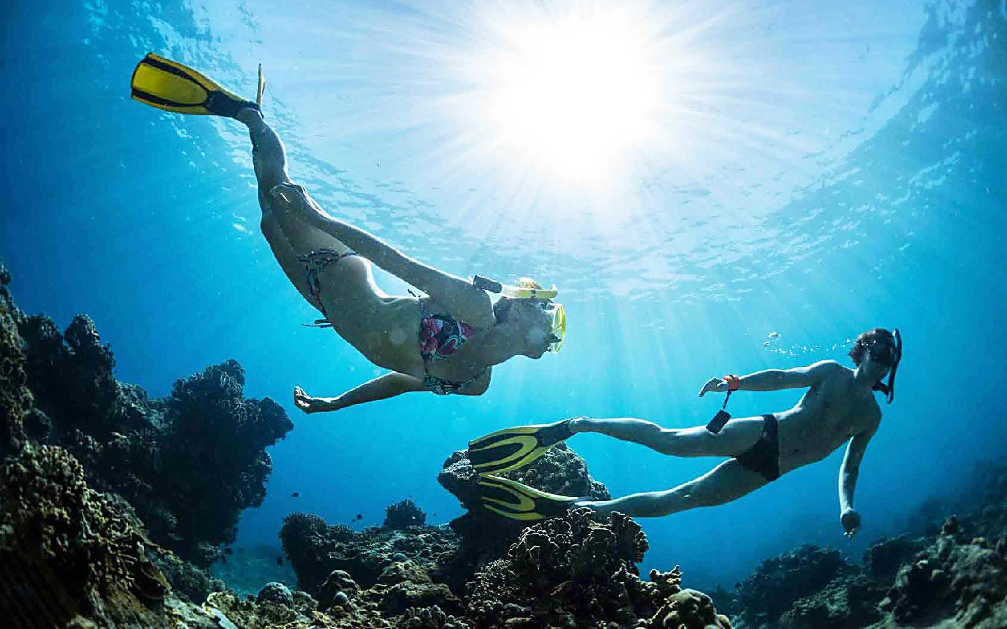 Freediving-Palawan - MEGA