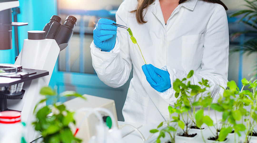 RBG Kew scientists work hard to check the key botanical ingredients that goes inside every single bottle of the Herbal Essences bio:renew range