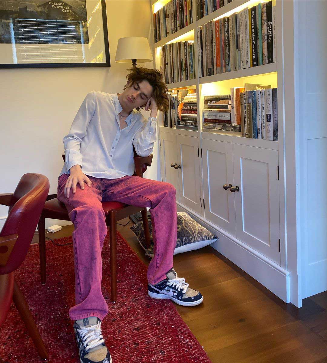 Timothee-Chalamet - MEGA