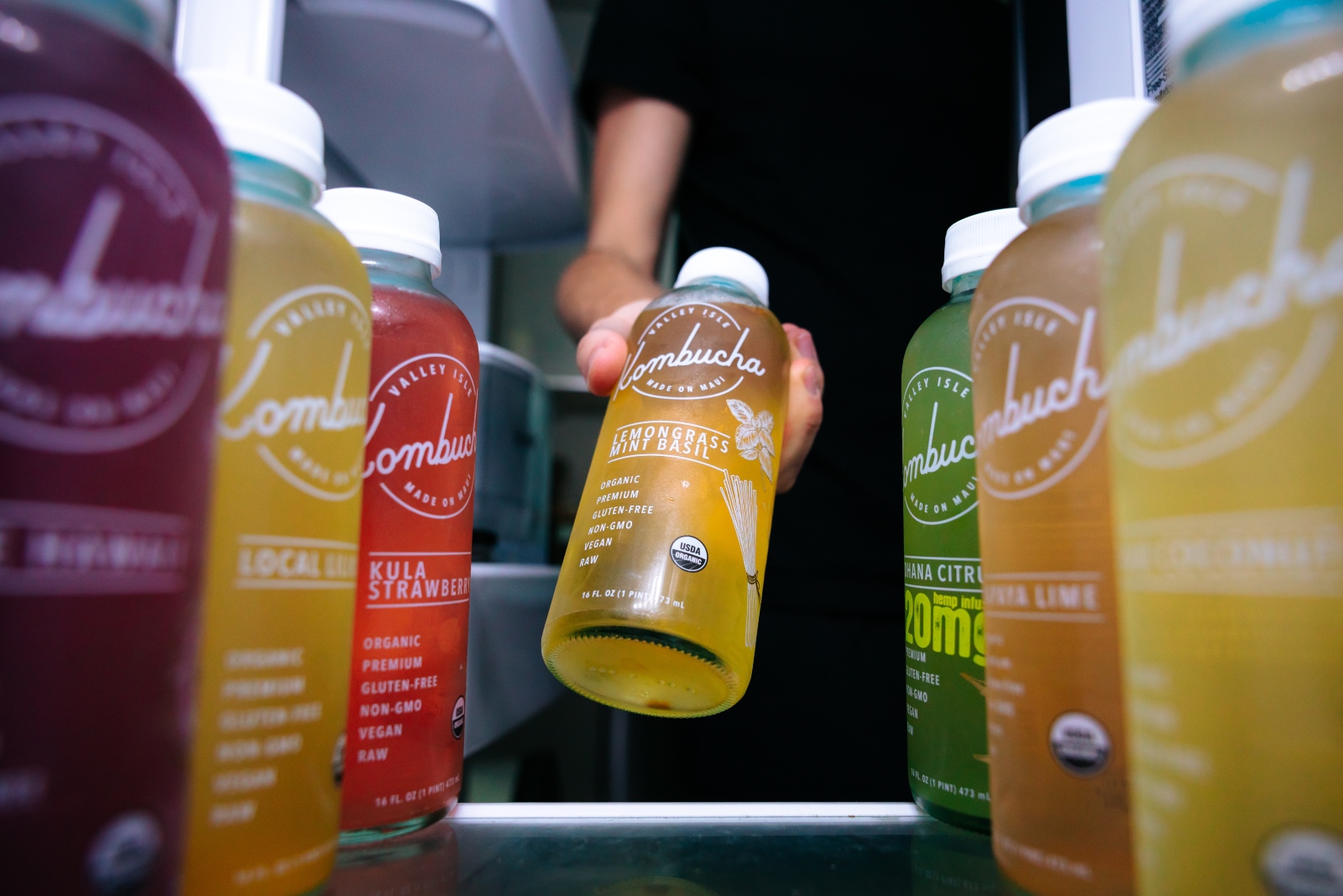 kombucha - MEGA kombucha