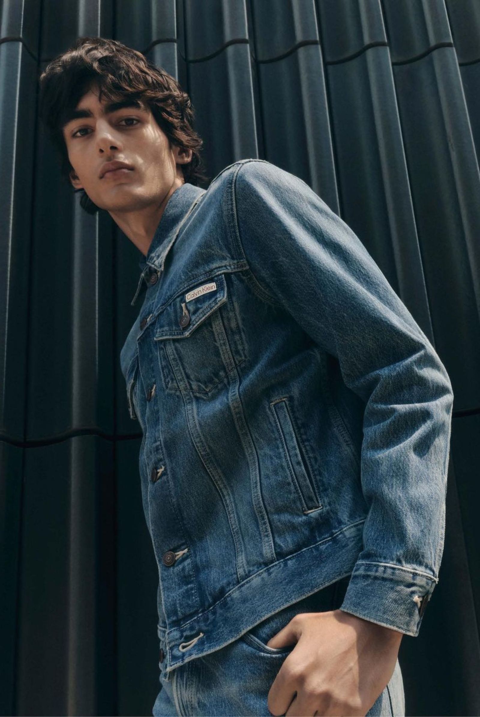 CANADIAN-TUXEDO-IN-ART-1 - MEGA What is Canadian Tuxedo