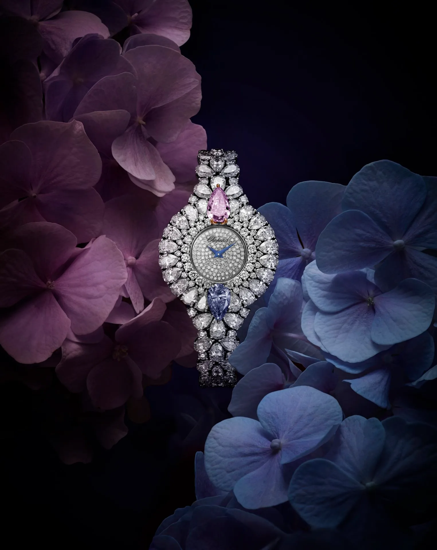 be79e422-chopard_magari-134154-1001-cpatrick-csajko - MEGA
