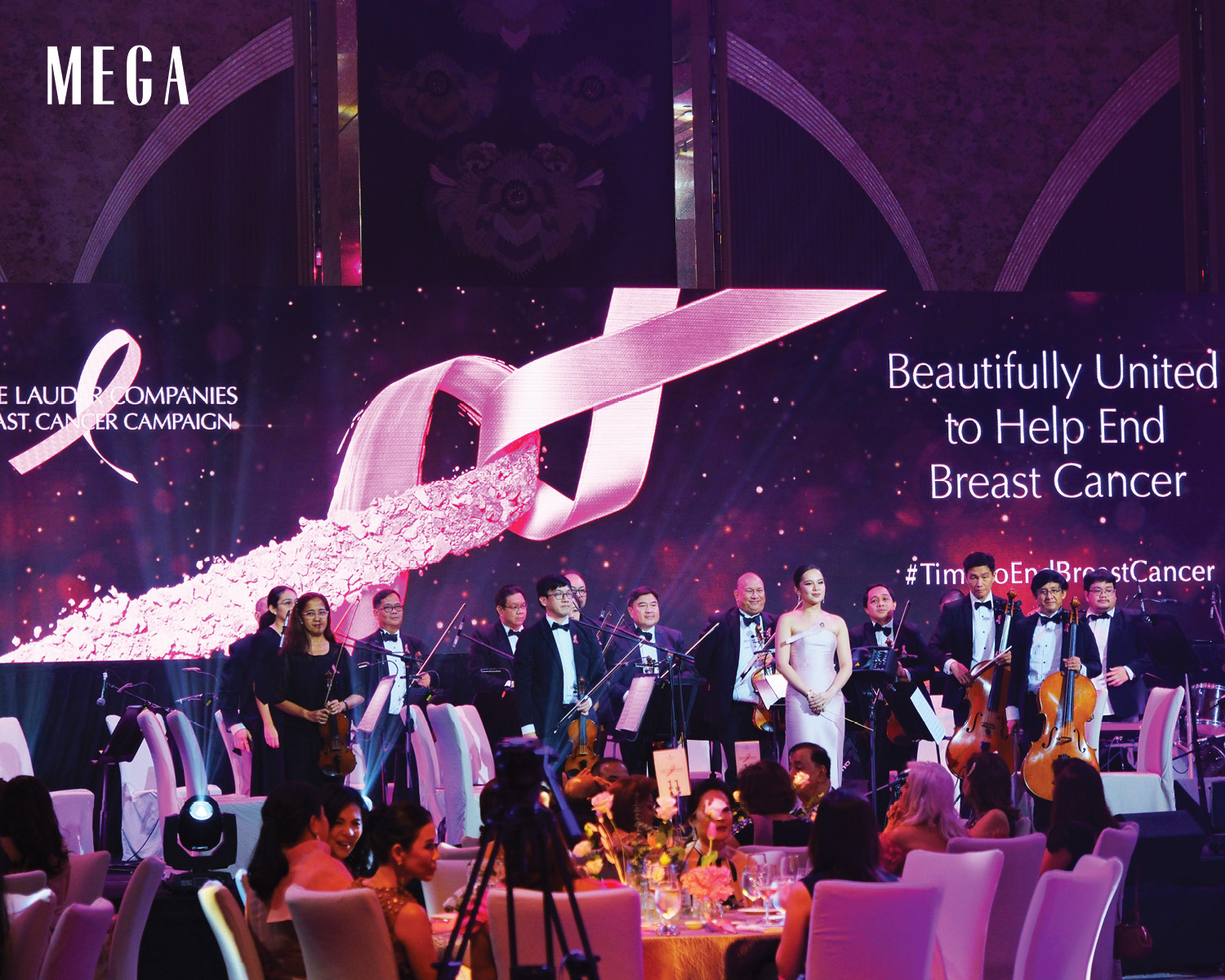 pink-ball-highlights-inart - MEGA Anya Lagman and the Philharmonic Orchestra