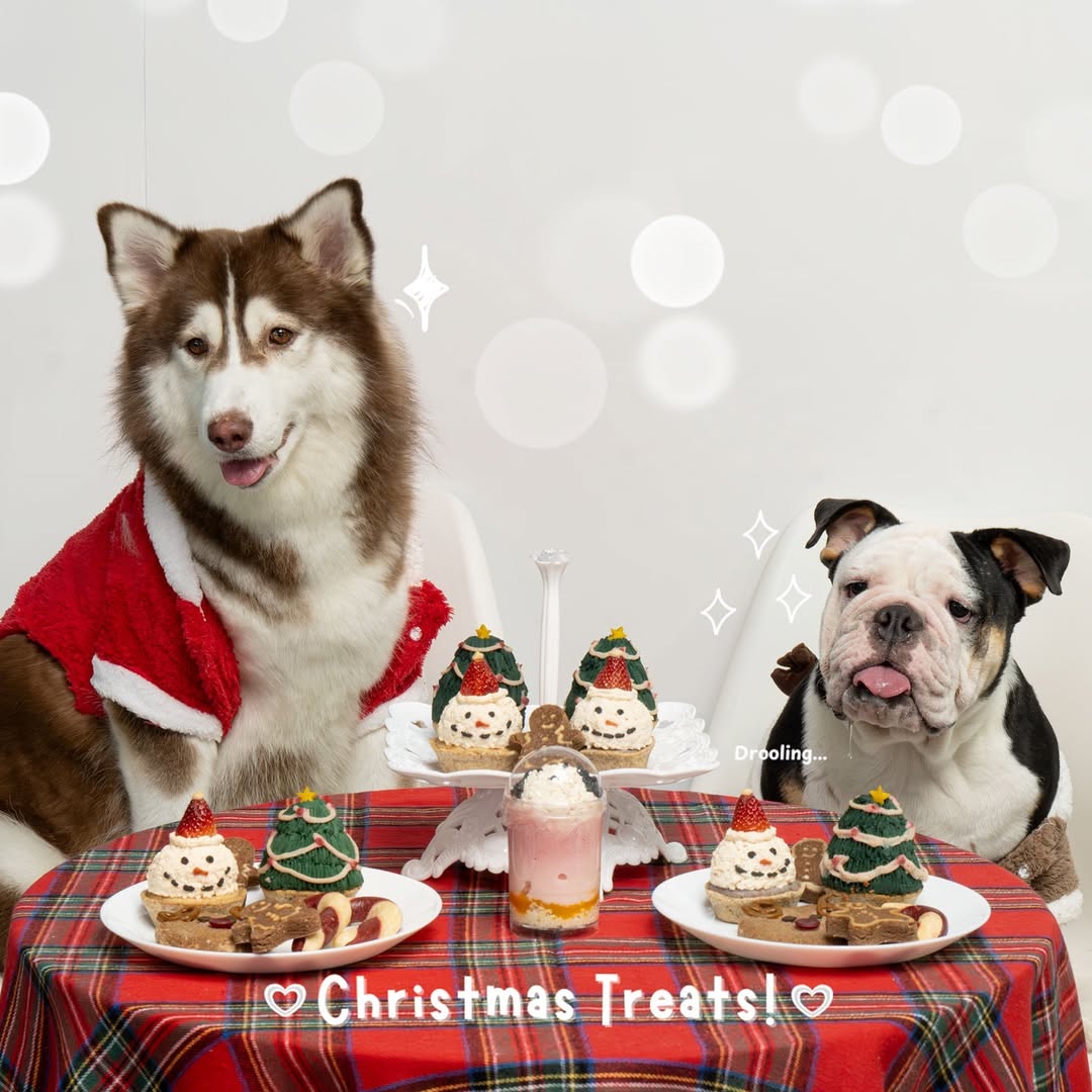 Furry Flour's Christmas-themed treats for pets